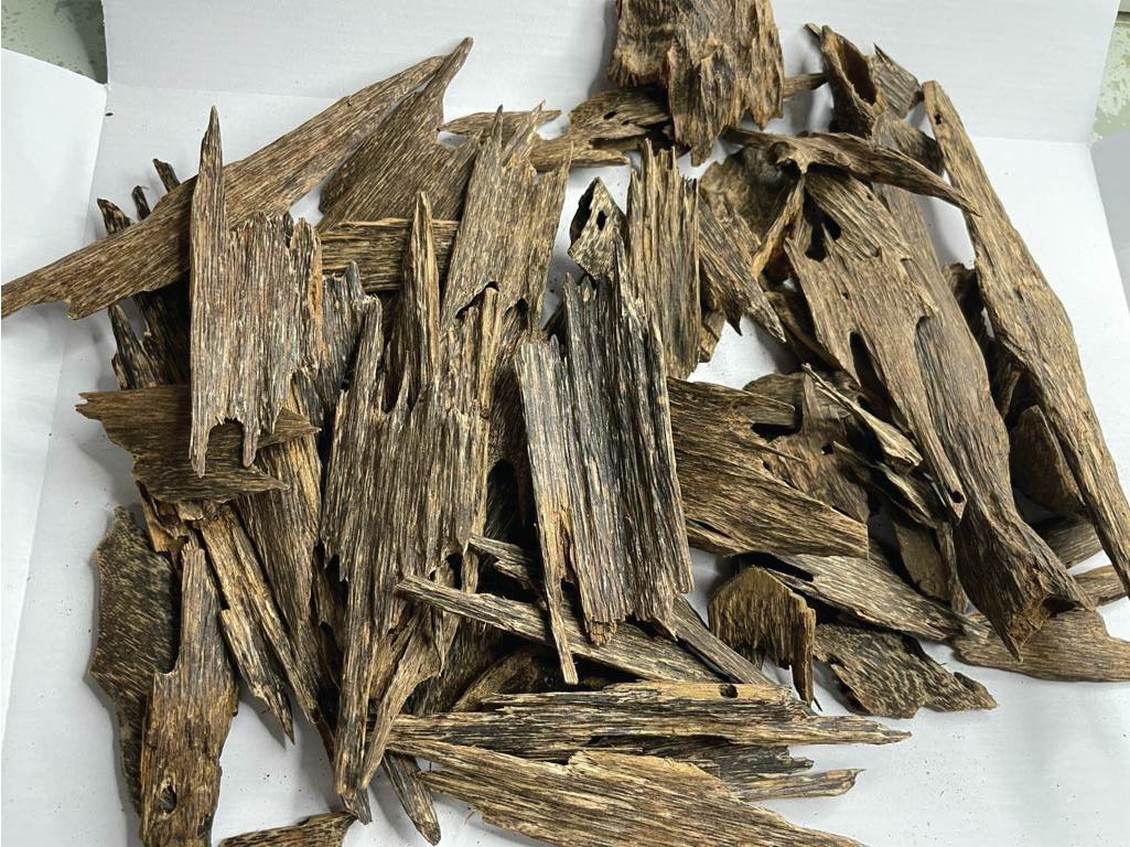 Natural Oud Kalimanthan -1 Tola
