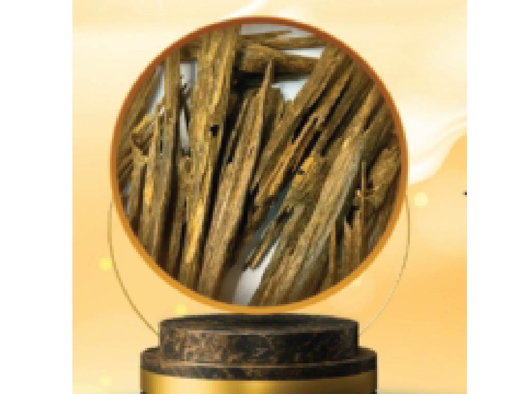 Natural Indian Oud - 125 Gram   عود هندي 125 غرام