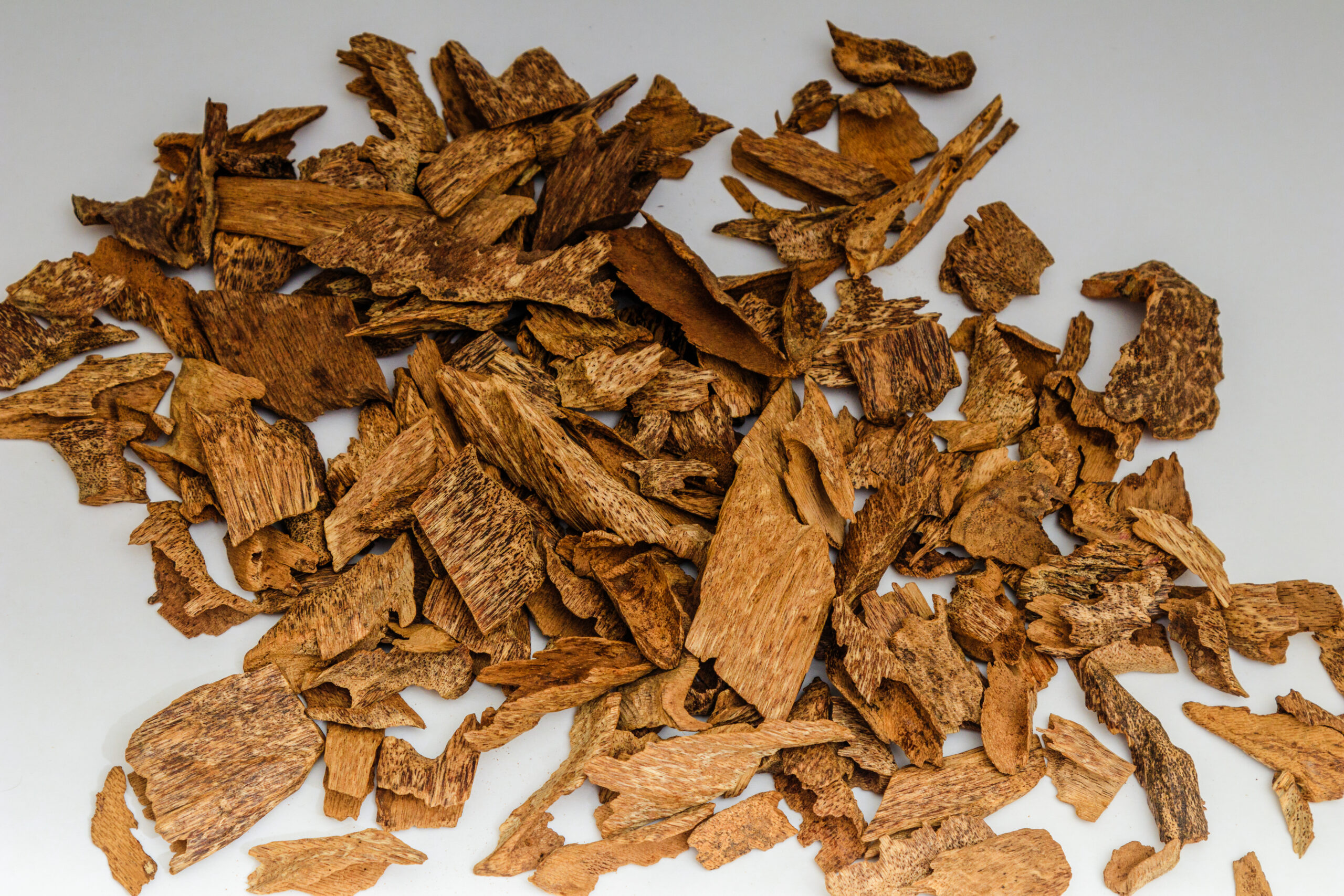 Zawaya Indonesian Oud - 1 Tola توله عود زوايا اندنوسي