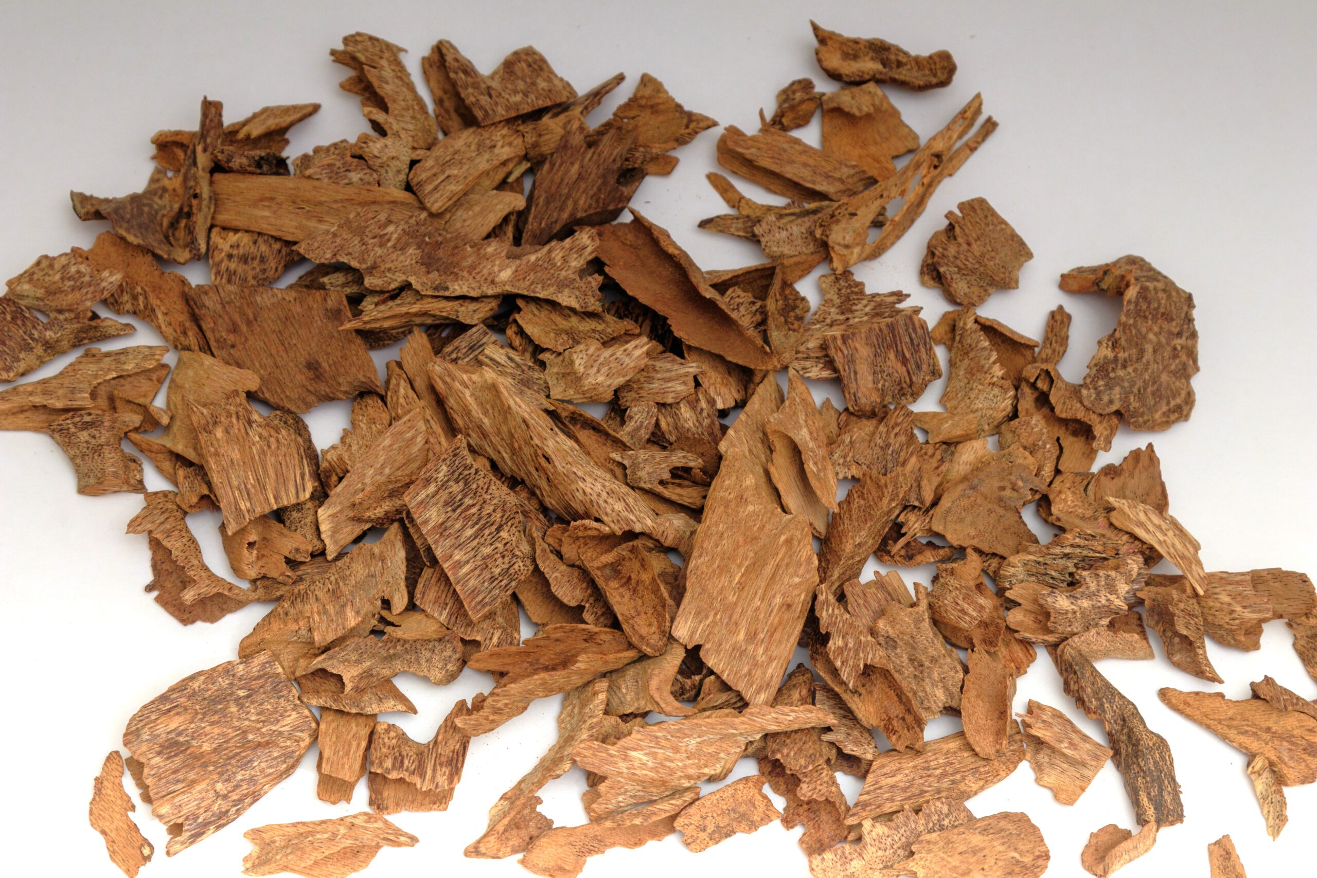 Zawaya Indonesian Oud - 1 Tola توله عود زوايا اندنوسي