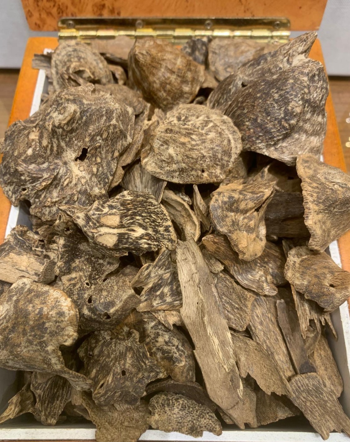 Super Arche Indonesian Oud- 1 Tola  توله عود سوبر ارشيه اندنوسي قواقع